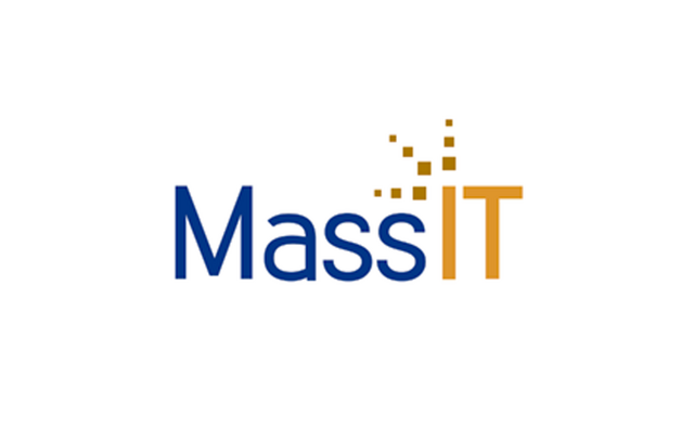 Mass IT Logo